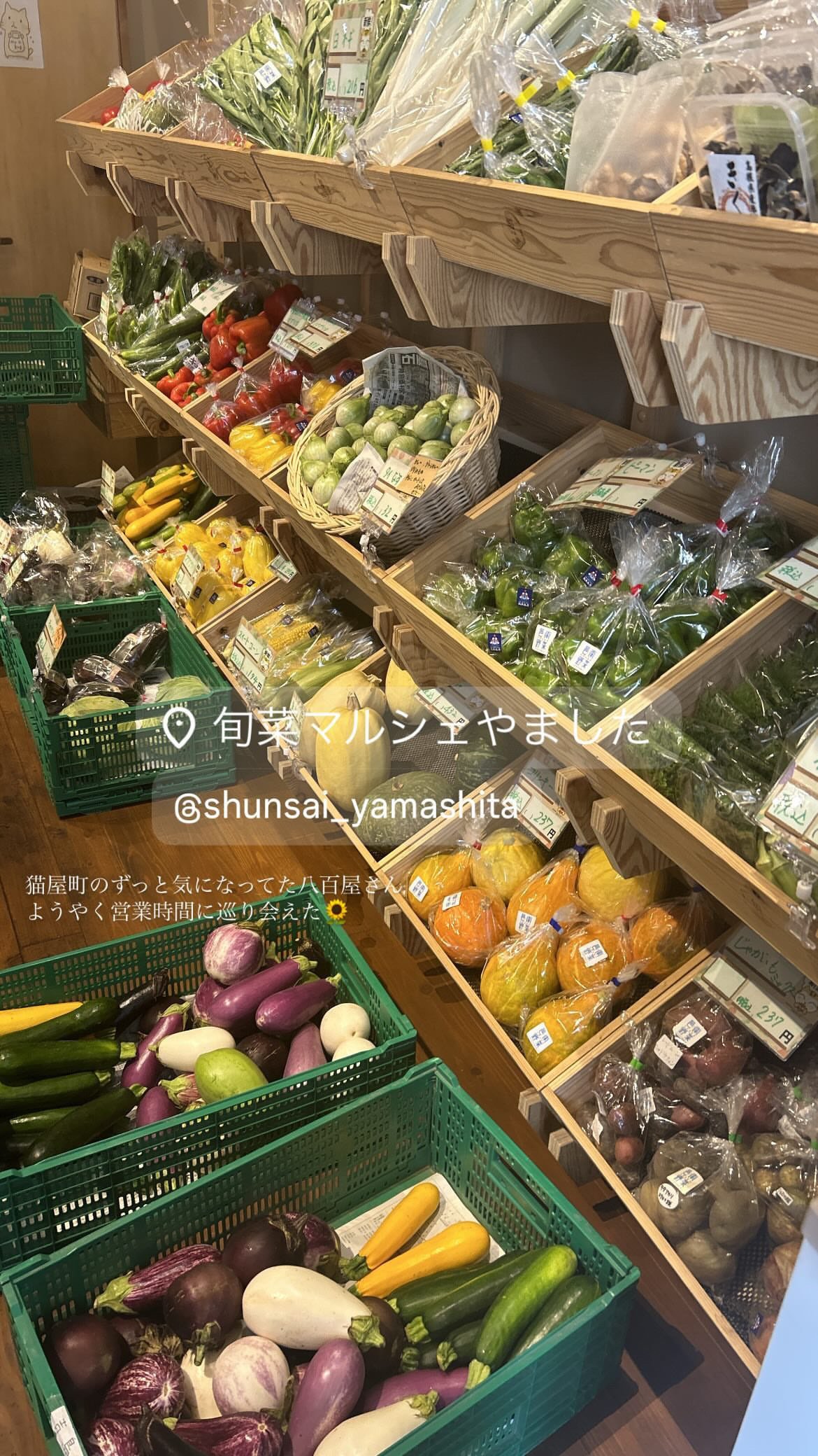 広島新入社員148日目 【広島八百屋さん巡り🍆】 店員さんとの会話が