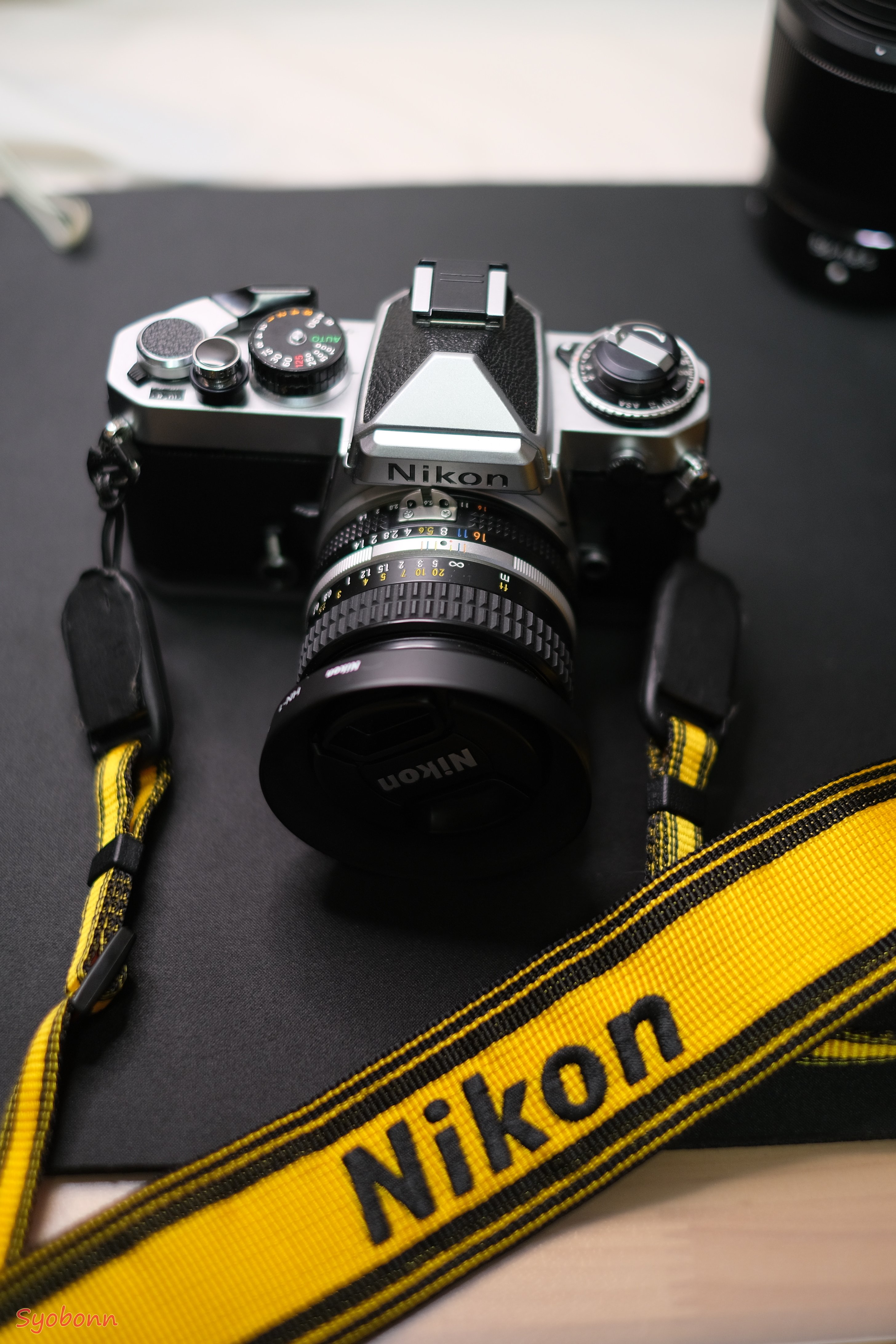 2024年Nikonのカメラとレンズ｜(´・ω・｀)