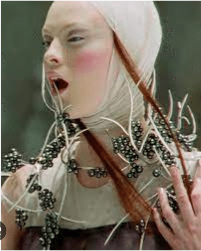 それは狂気か，芸術か〜アレキサンダーマックイーン2001年SS