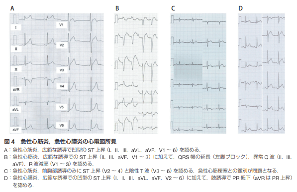 2024・2025年度 セルフトレーニング問題集&解答解説セット 2024年度