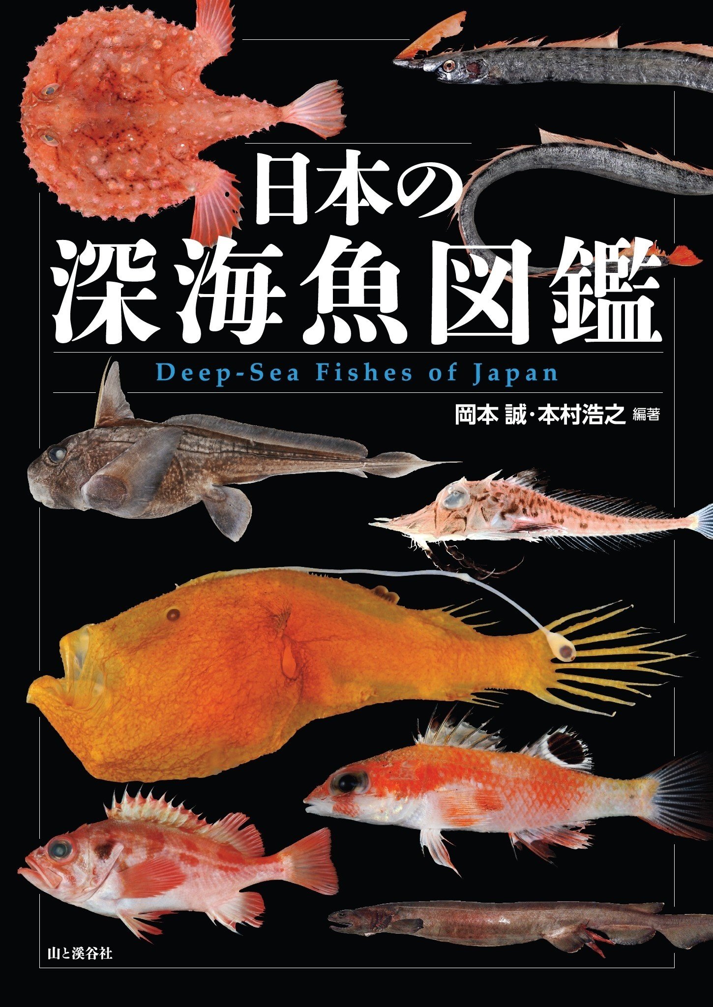 新刊のご案内【2024年12月発売】『日本の深海魚図鑑』など6冊