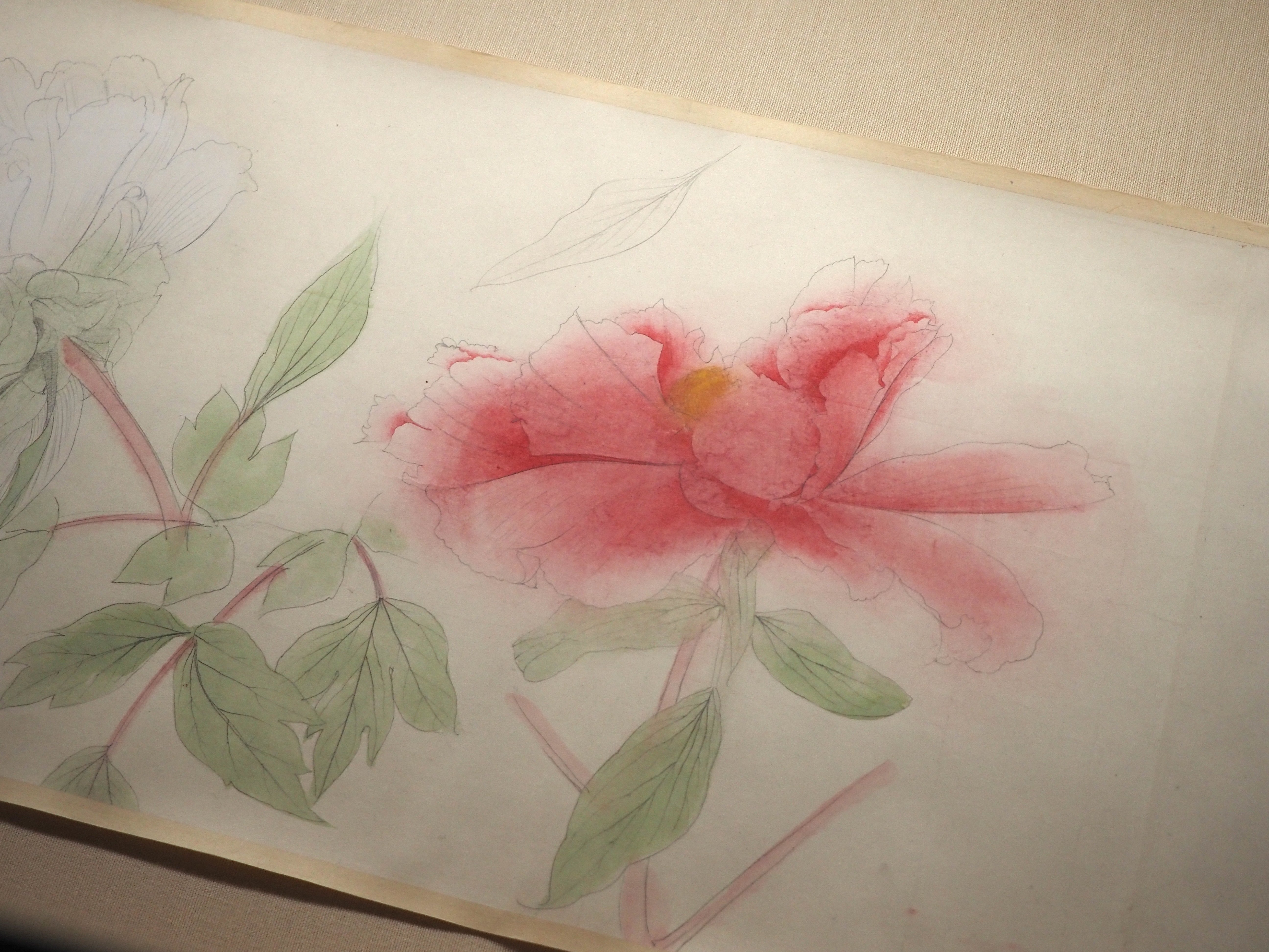 速水御舟の《寒牡丹写生図巻》に惚れ惚れしてきました…＠東京国立近代