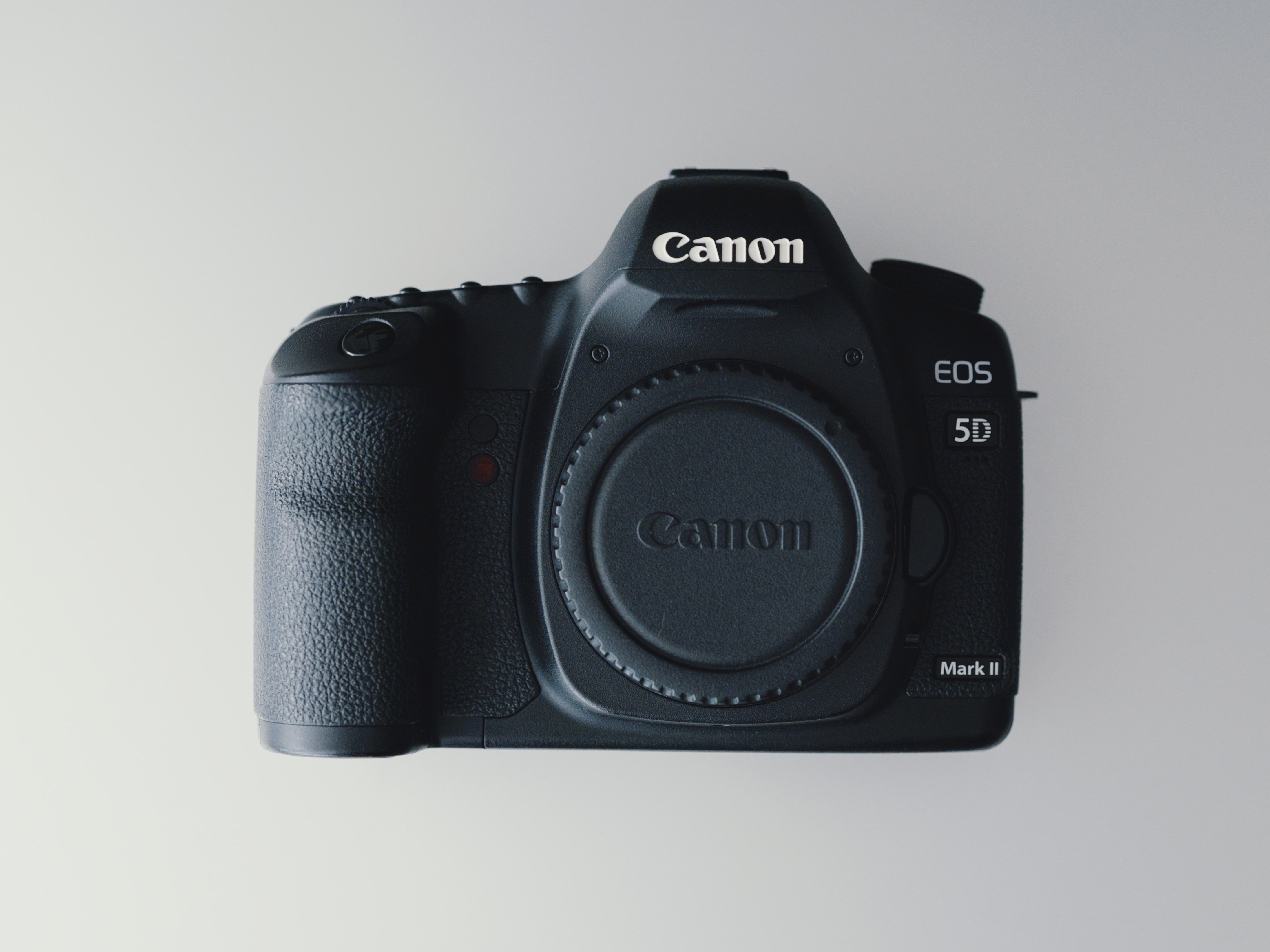 初めての一眼レフ機を購入【Canon EOS 5D markⅡ】：なぜ今このカメラ