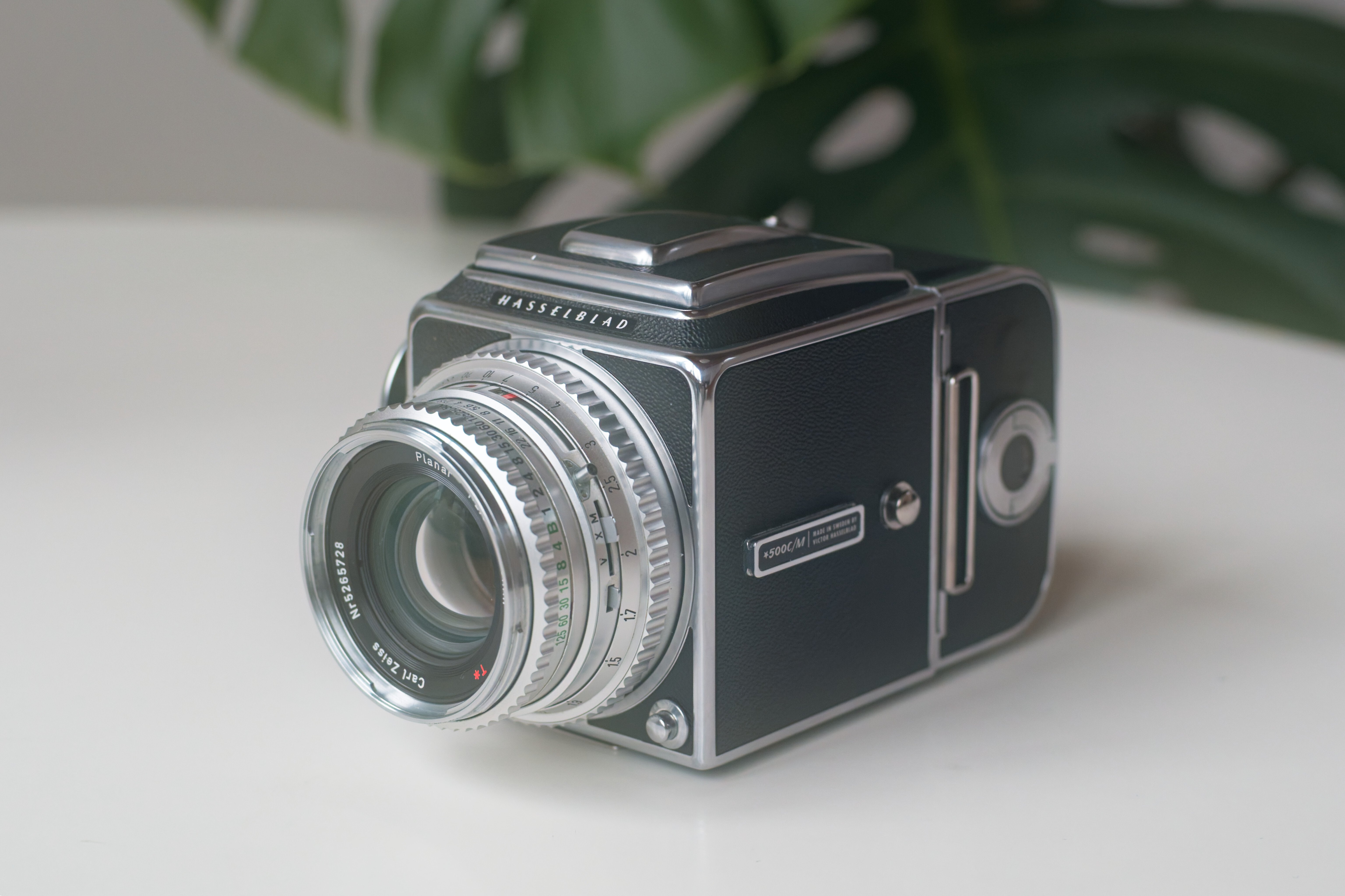 中判フィルムカメラの魅力 ― Hasselblad 500C/M+PlanarC80mmT*F2.8の