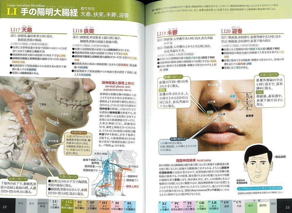 画像で比較】鍼灸・推拿に役立つ経穴取穴本おすすめ21選｜在庫あり49冊