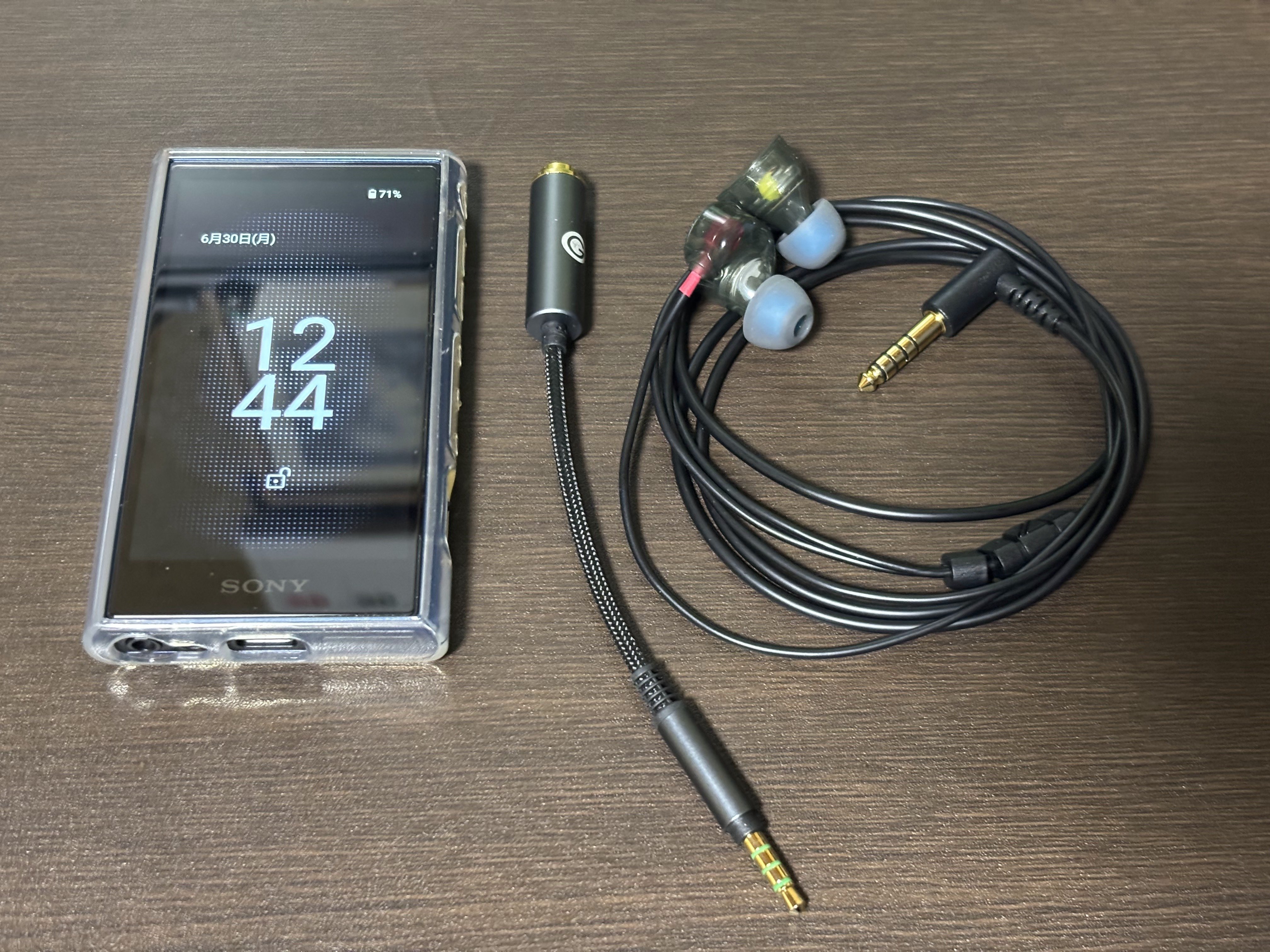 SONY WALKMAN NW-A306購入｜忍