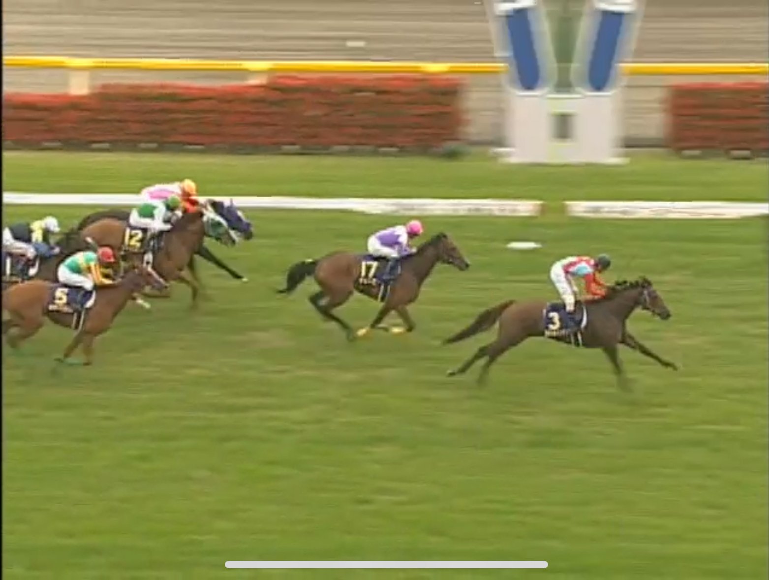 UMA] スティルインラブは、豊饒の海だった｜だいぽよ