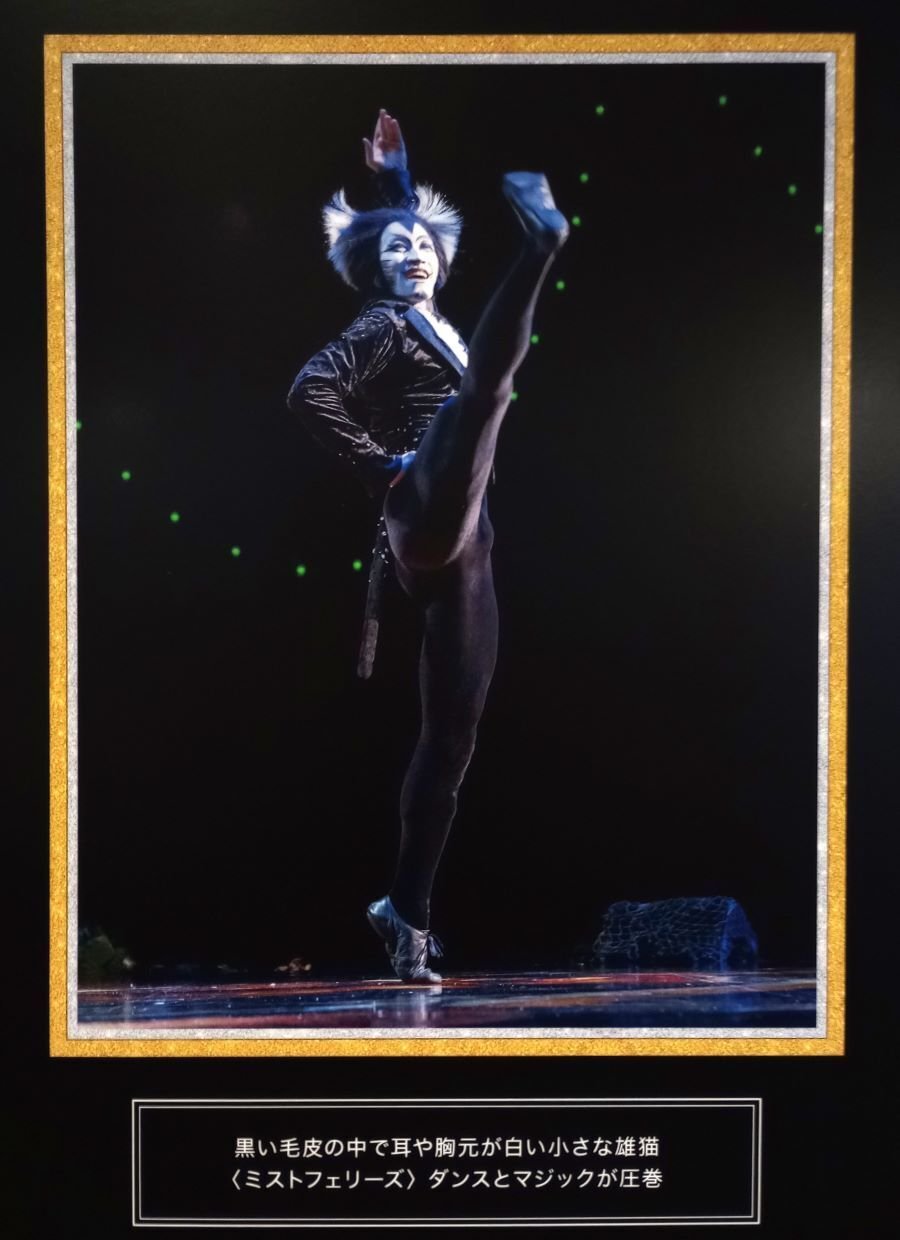 初遠征🚊】劇団四季「キャッツ」静岡公演🐈レポ｜きいろいお花