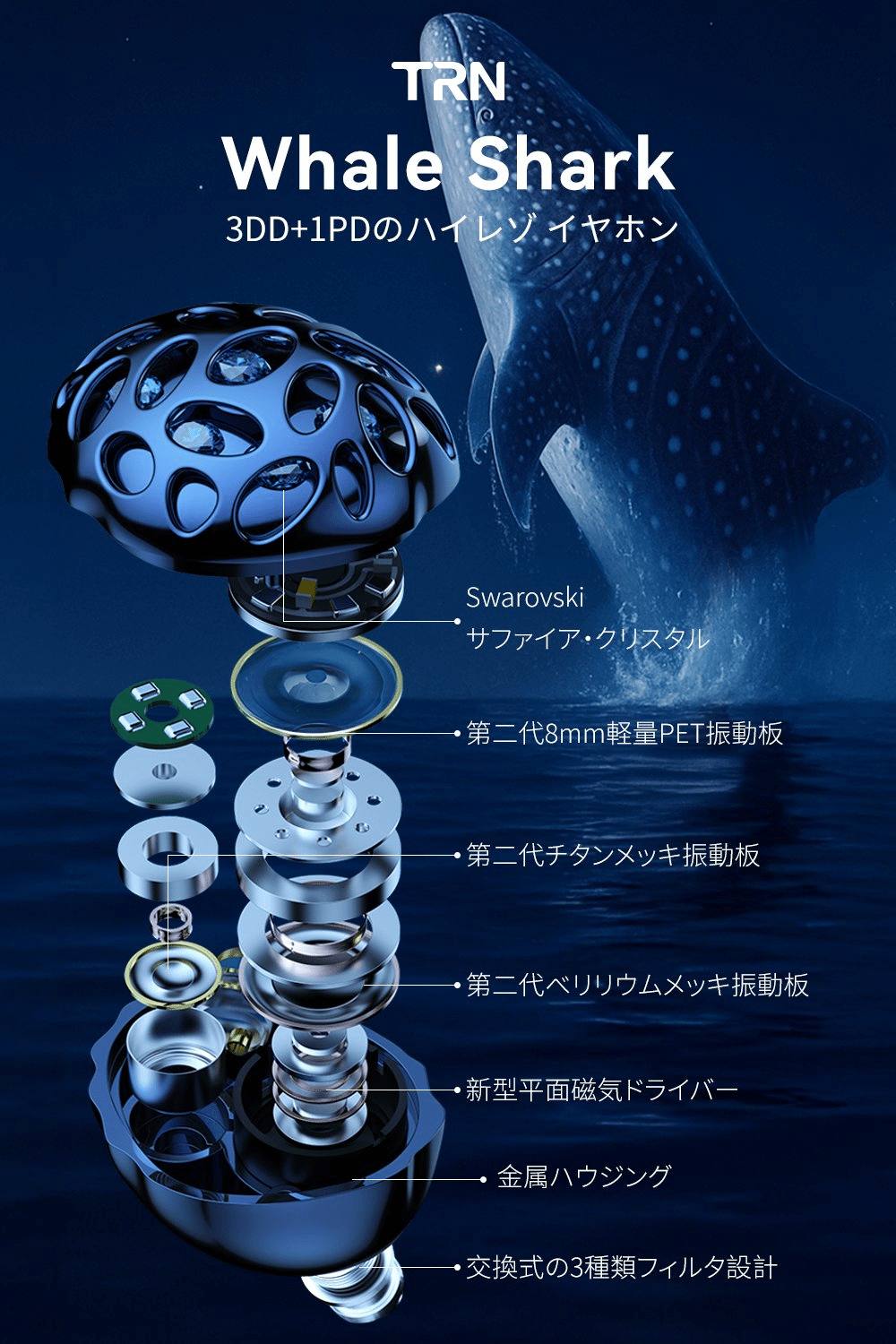 TRN Whale Shark 鲸鲨（ジンベエザメ）詳細レビュー：特異な複合