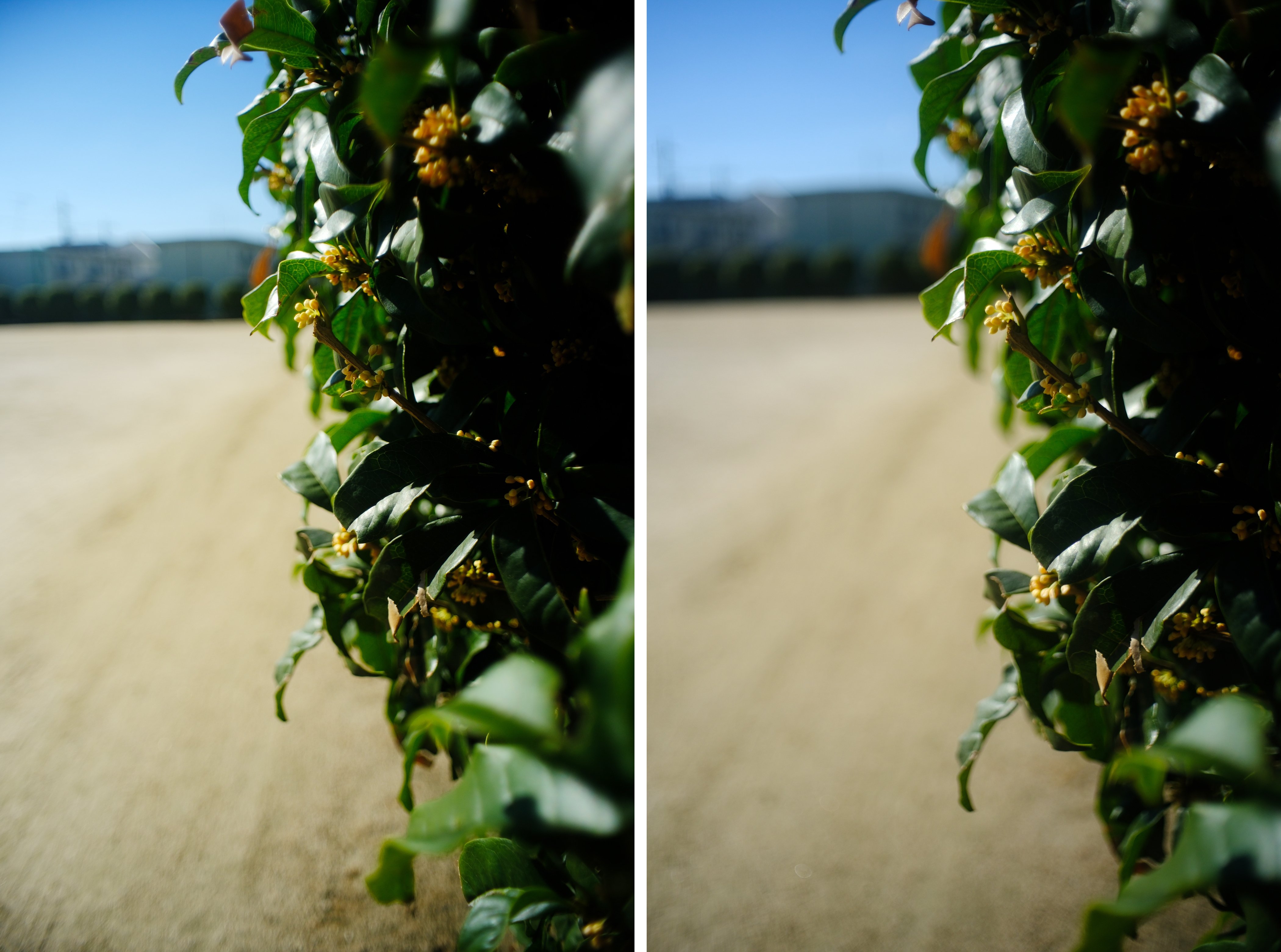 PENTAX auto 110 レンズ｜mitznori