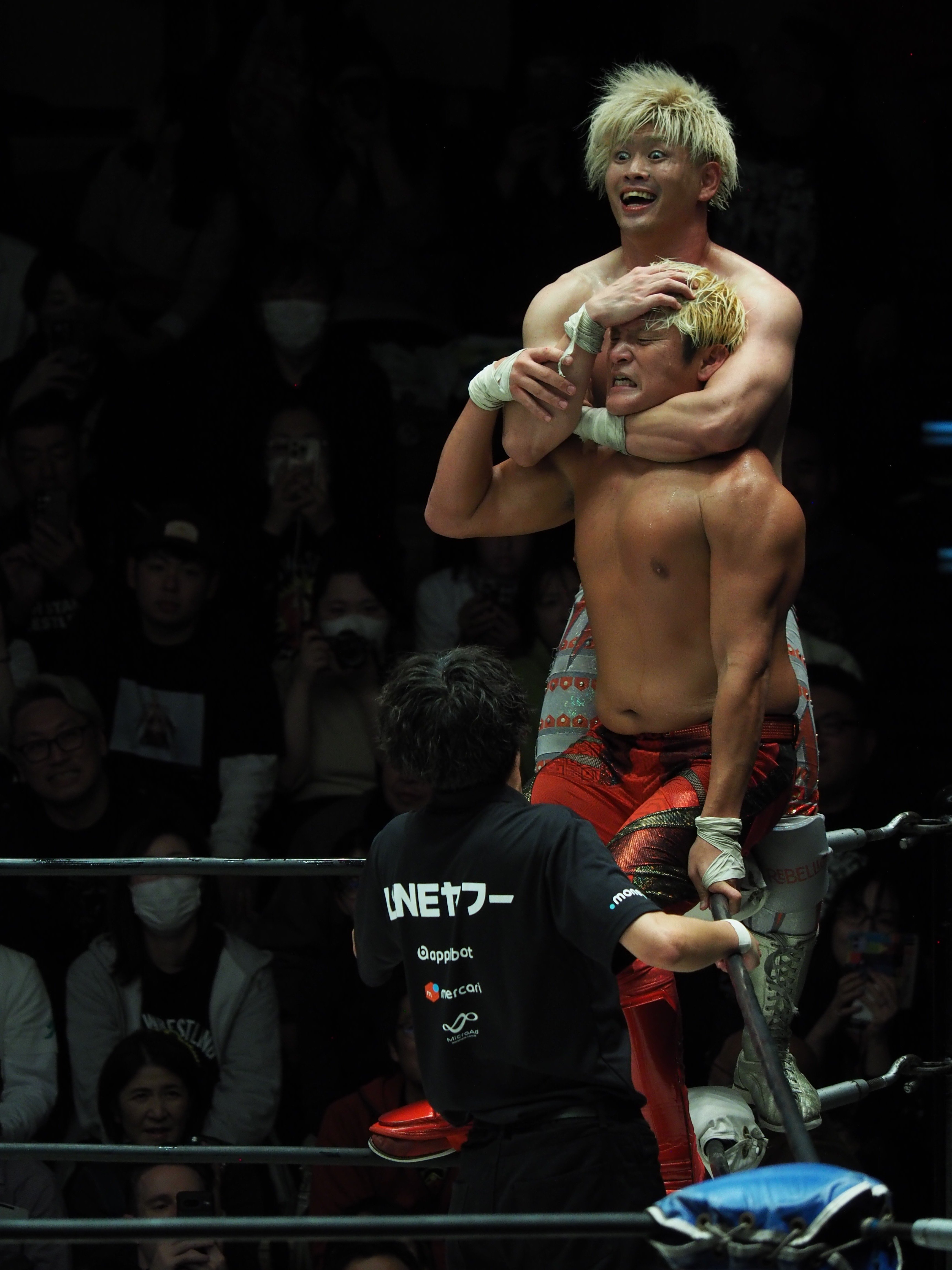 令和七年のマッドプリンス｜レンブラント