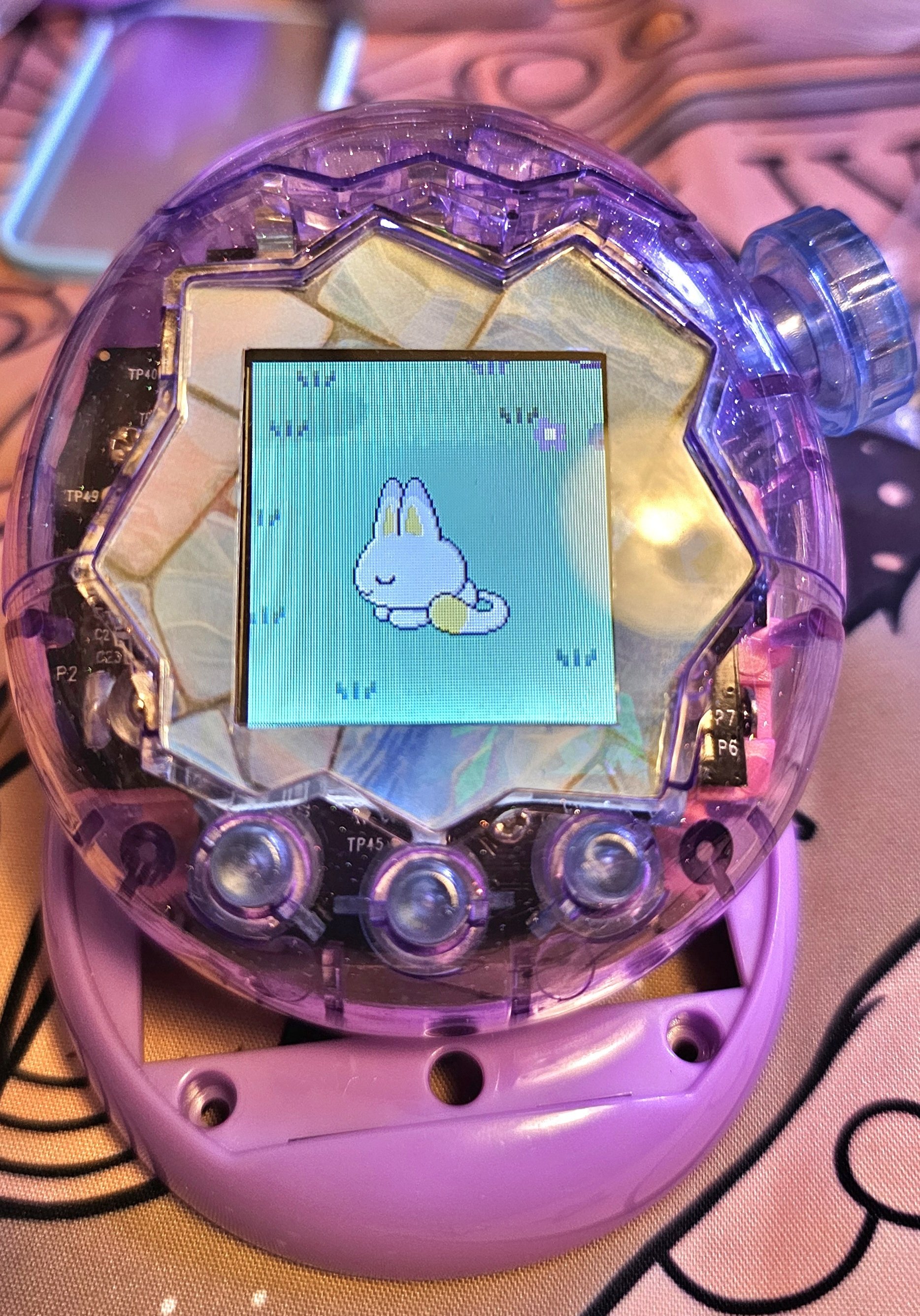 たまパラ改造】たまパラのシェルをスケルトンにしてみた｜るみろく