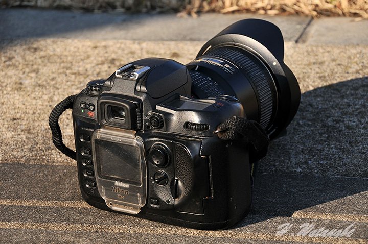 15年ぶりにニコンD100で撮ってみた｜渡邊博士