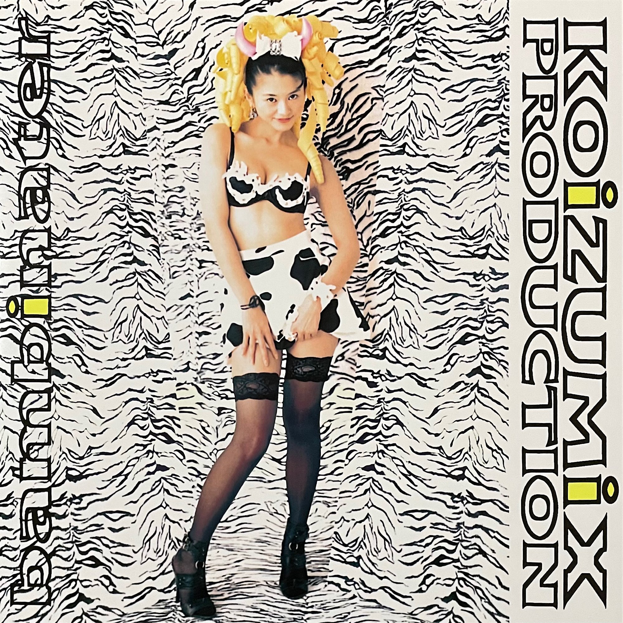 買ってよかったレコード（2026年1月）｜五辺宏明