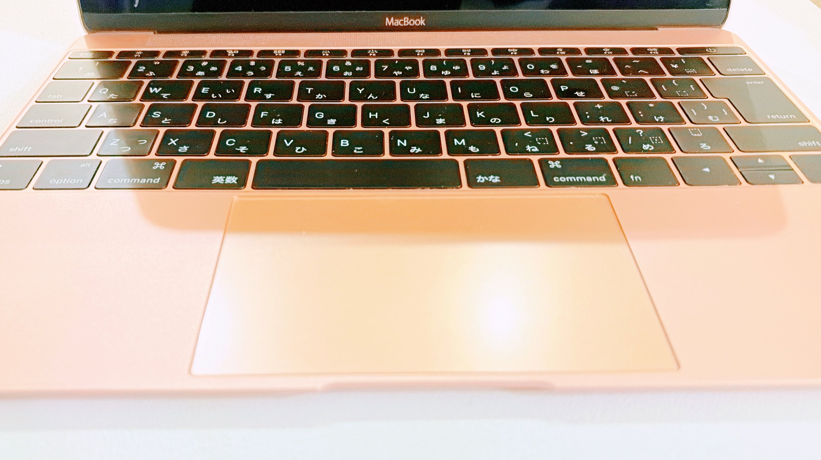 ジャンクMacBook 12インチをどうするか考える｜Dapinko