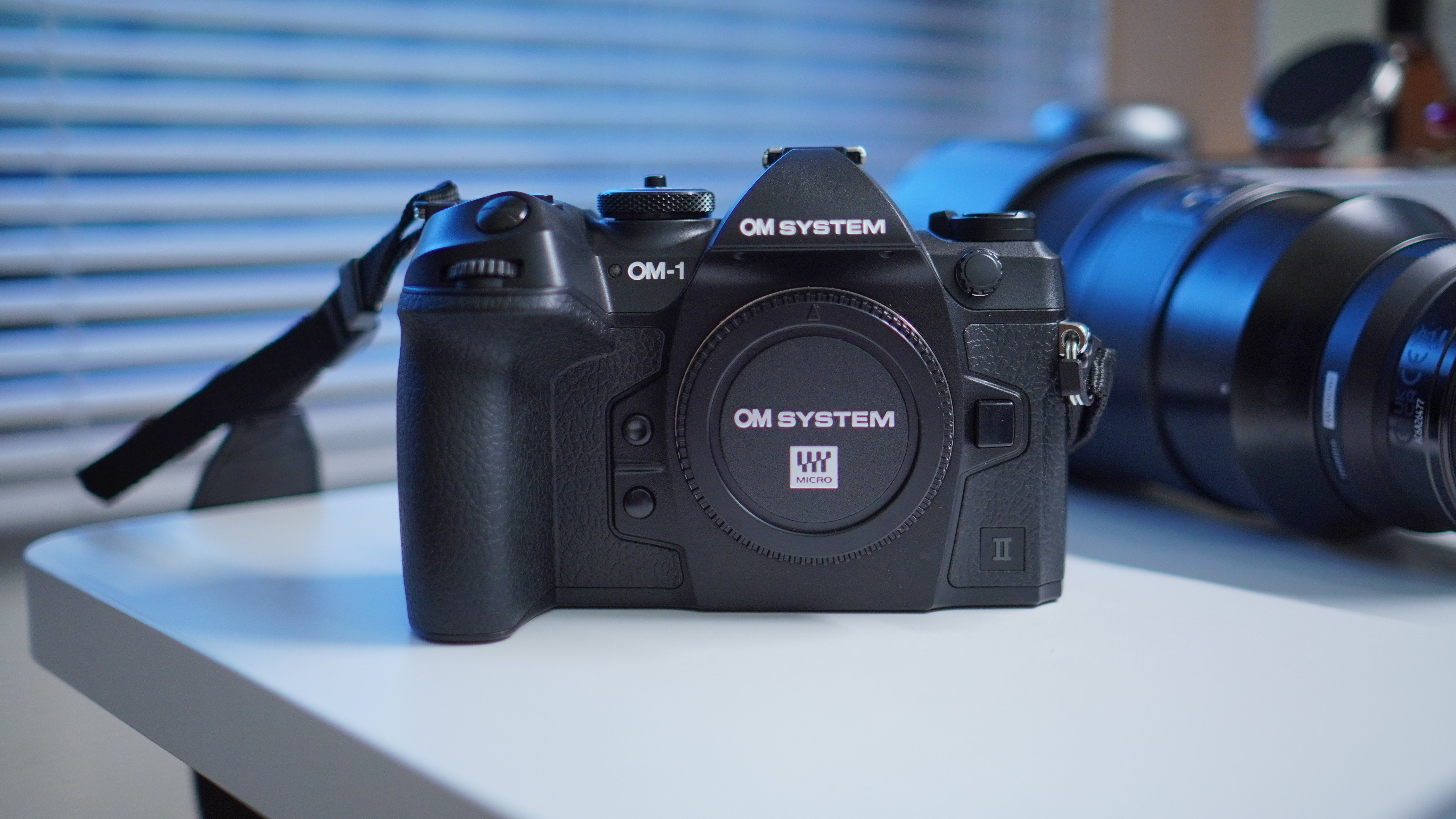 フィルターを使った野鳥写真も面白い【OM-1 Mark II + 100-400mm II