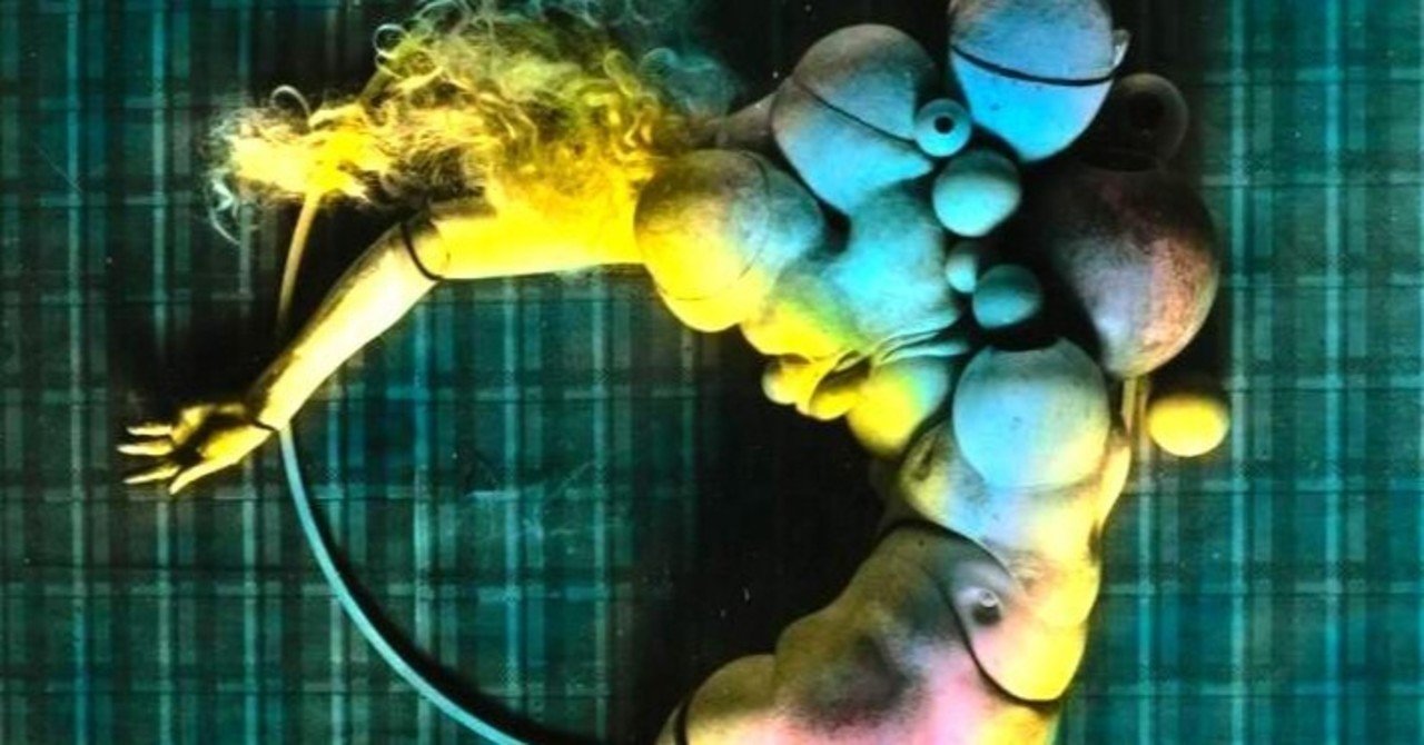 ハンス・ベルメールの異様な球体関節人形（シュルレアリスム