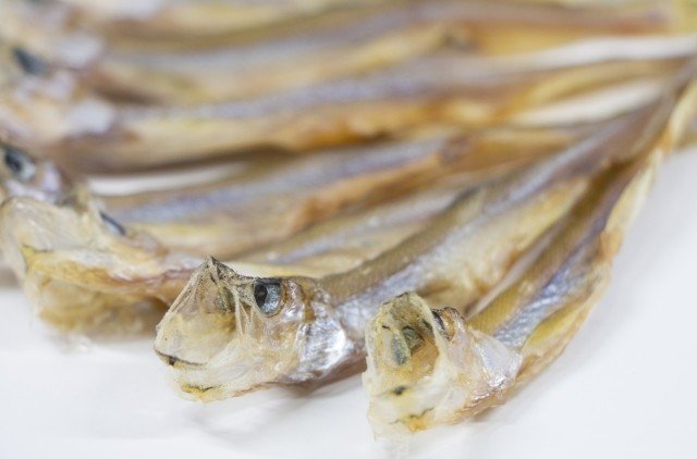 お取り寄せ」柳葉魚（ししゃも）。北海道が育てた、日本固有の貴重な魚