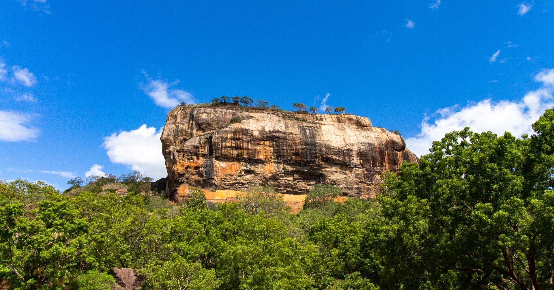 スリランカってどんな国？｜ アーユーボーワン！光輝く島、スリランカ