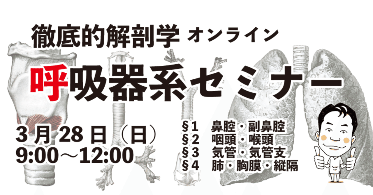徹底的解剖学 呼吸器系セミナー｜かずひろ先生（黒澤一弘｜解剖×教育×AI）