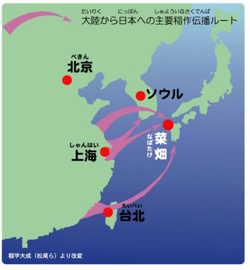 奇想ノ伍「長江から東シナ海を渡った鯉のぼり」｜猿丸法師