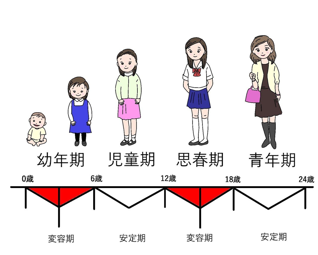 モンテッソーリ教育の発達の四段階｜0－12歳モンテッソーリ教師 あべようこ
