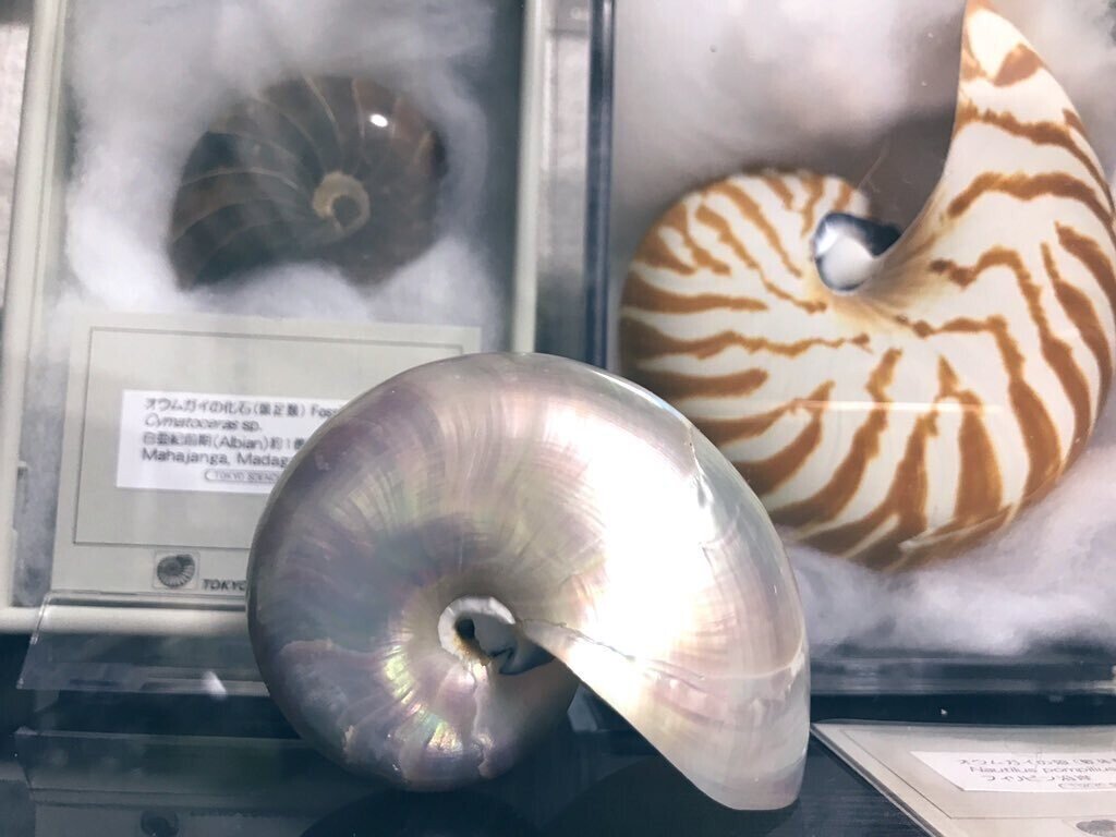 ce2d9e8662cfe221e589fad26f527e