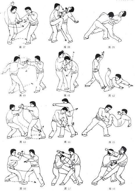 第1654回 拳法の中の鳥｜翆野 大地