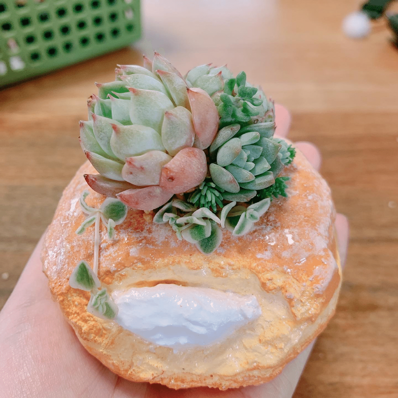 スイーツモルタル鉢作り｜ぴも