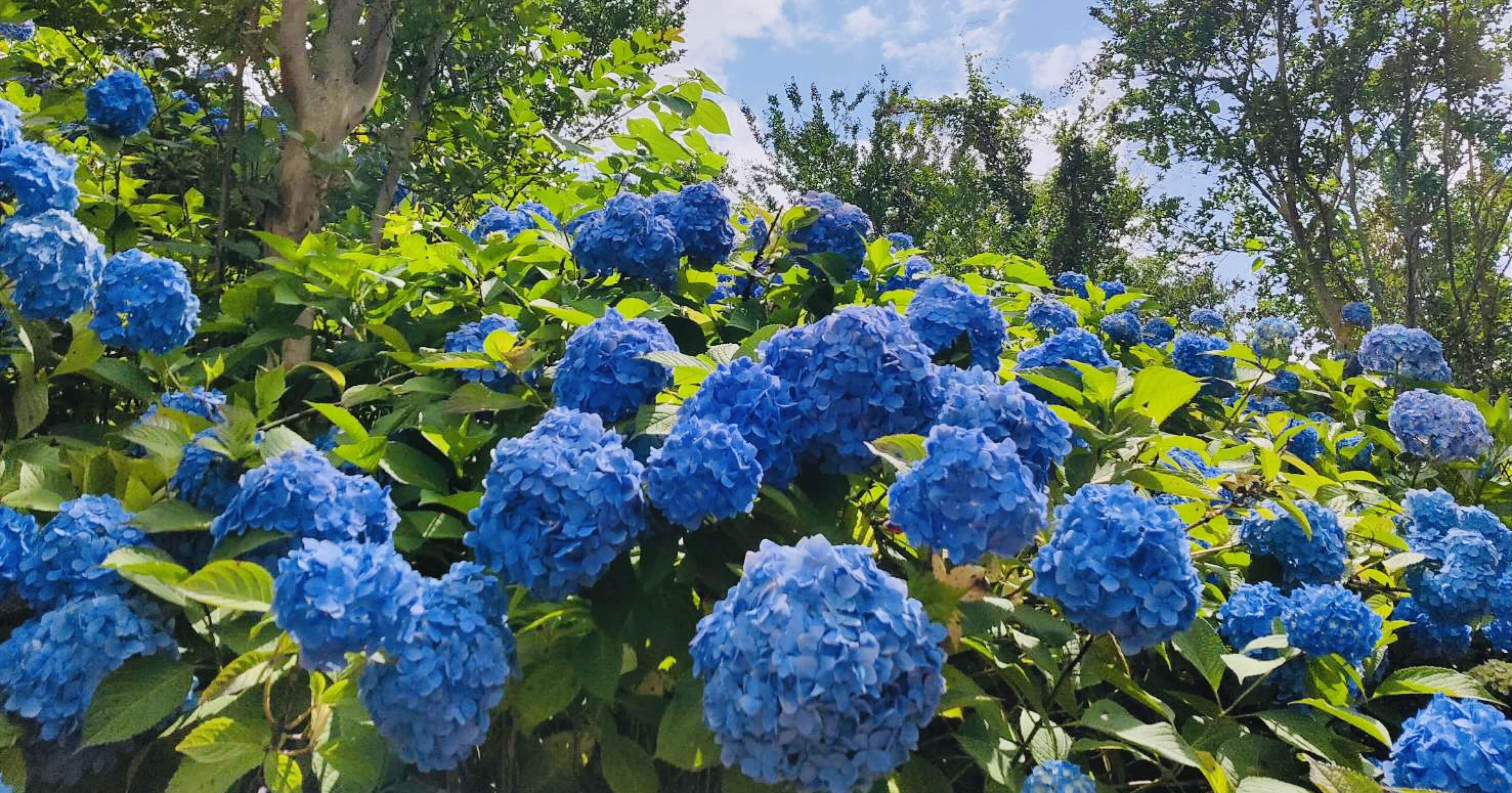 58c5b8905dd5d80a48c2bb39b4b6bd