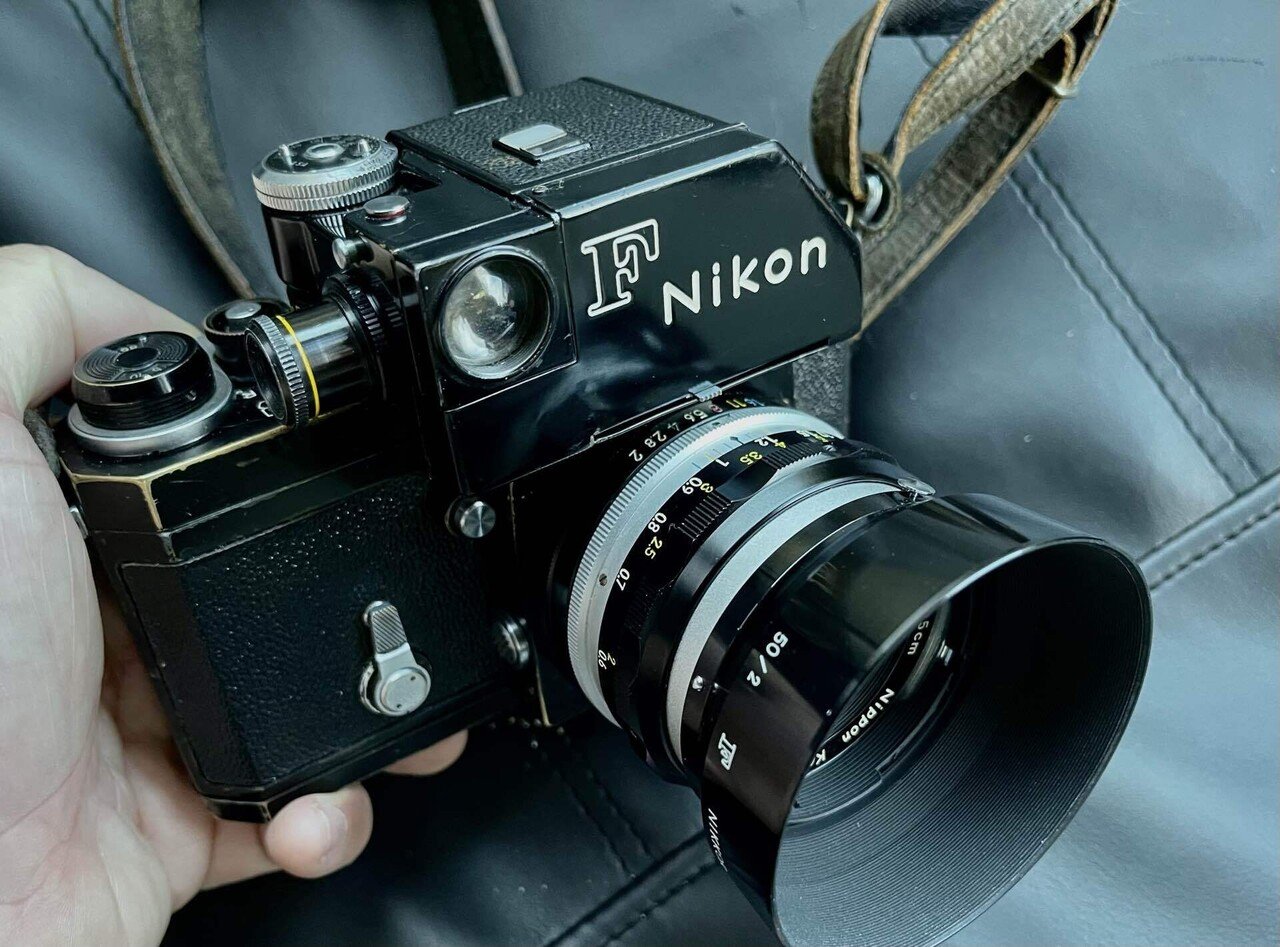 突然ですが、｜ぱんだ226