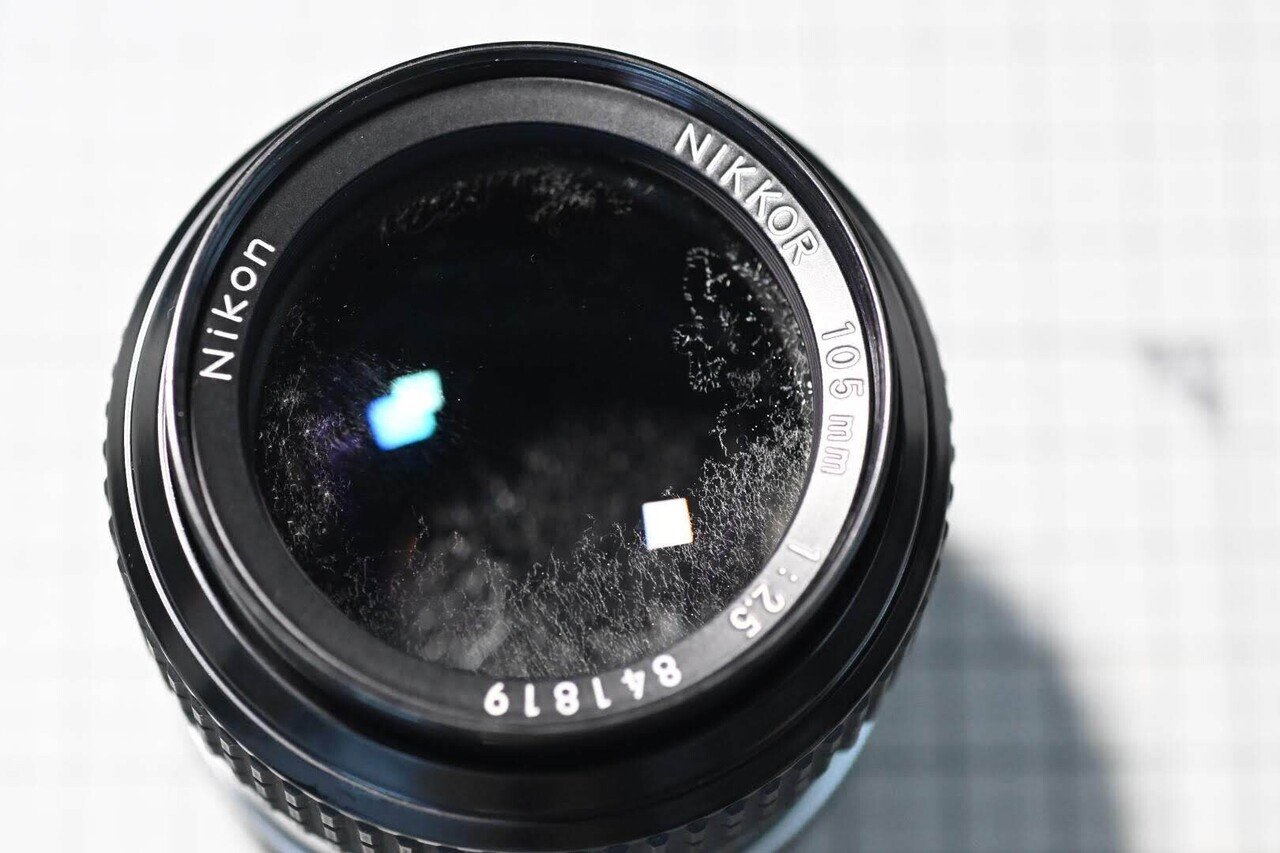 New Nikkor 105mm F2.5 を整備して，スナップ写真を撮ってみた｜ザブ