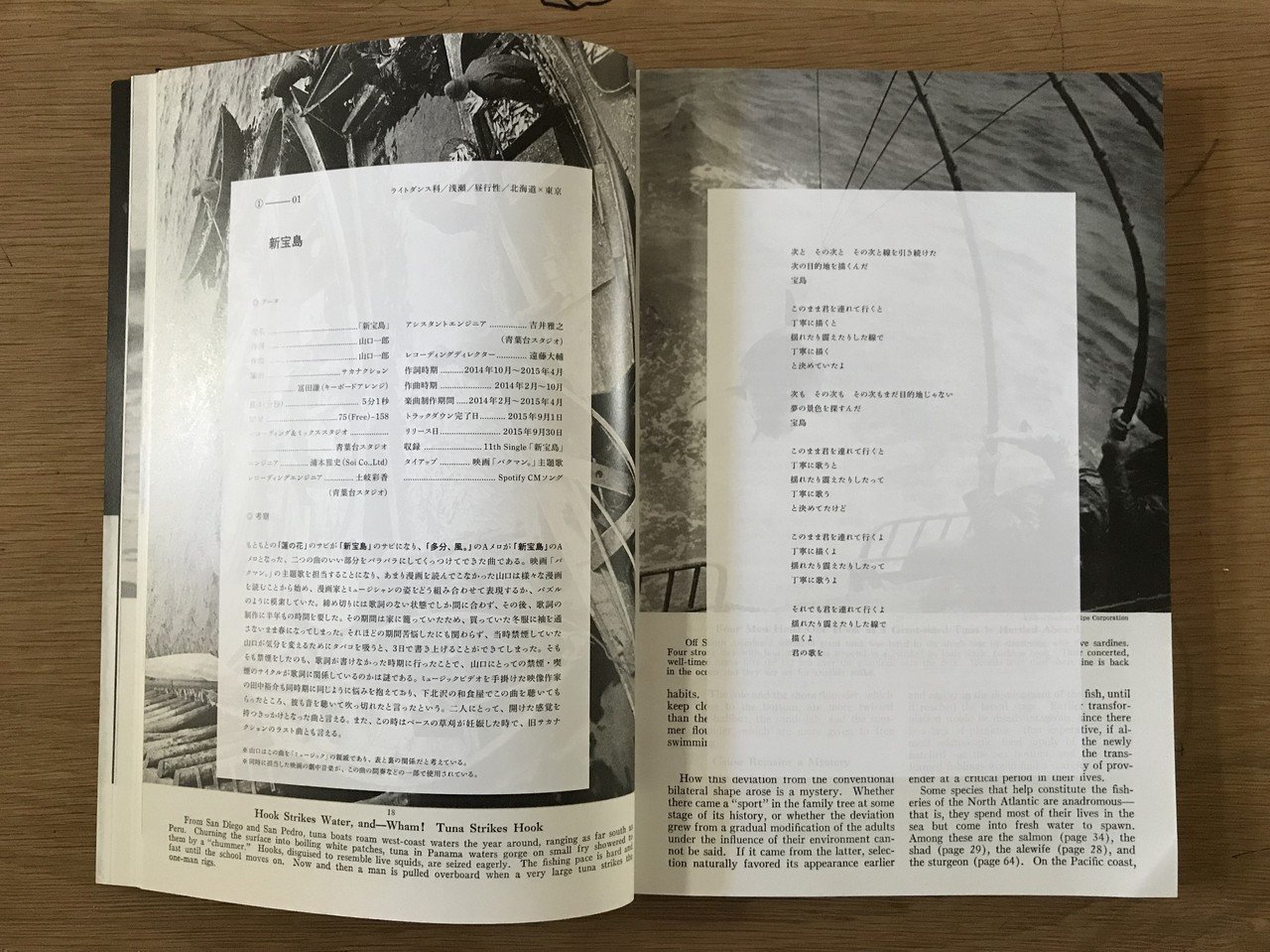 音楽のデザインをちゃんと見る：サカナクション「魚図鑑」｜梅野竜一