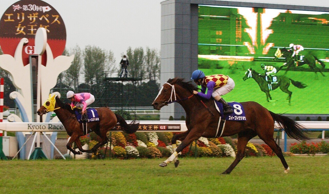 ウマ娘」の魔法少女は牝馬版ゴルシ！？ワガママお嬢様