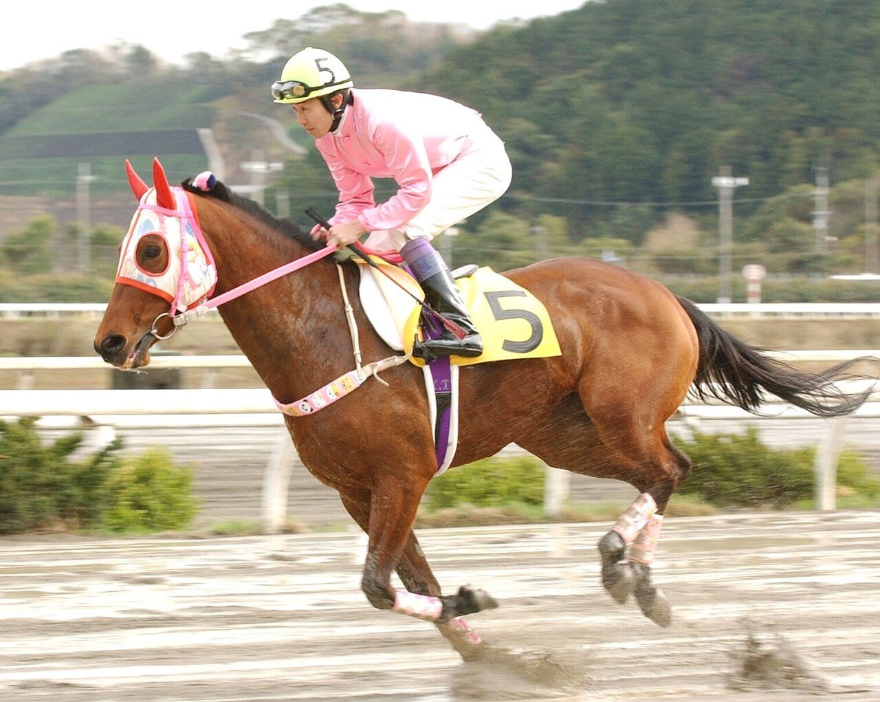 負け組の星〟は「ウマ娘」でも活躍中！社会現象にもなったハルウララの