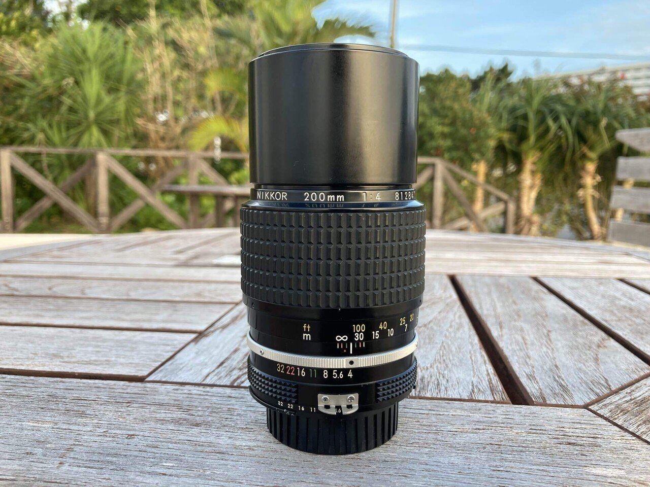 現代で使うオールドNikkor200mm単焦点レンズ｜ボールマウンテン