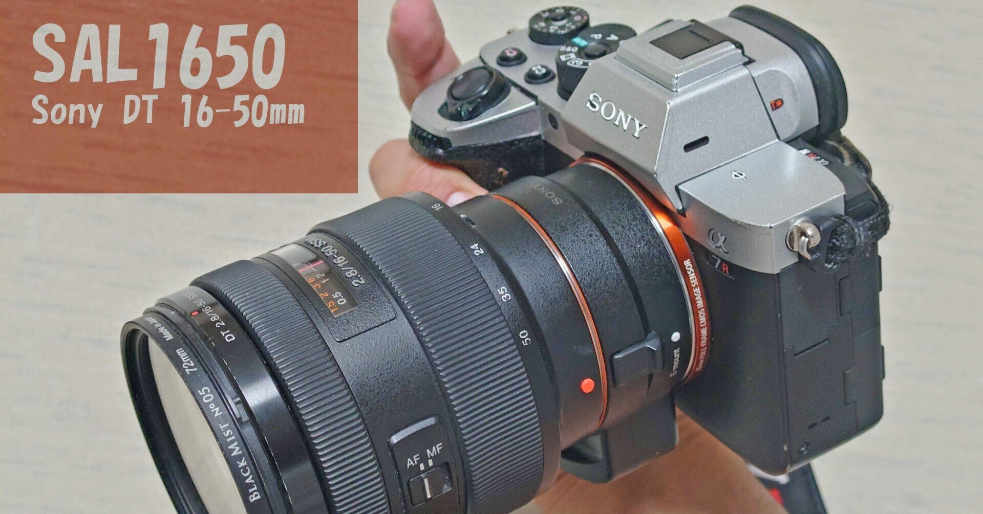 DT16-50mm F2.8 SSM （SAL1650）｜Gallery