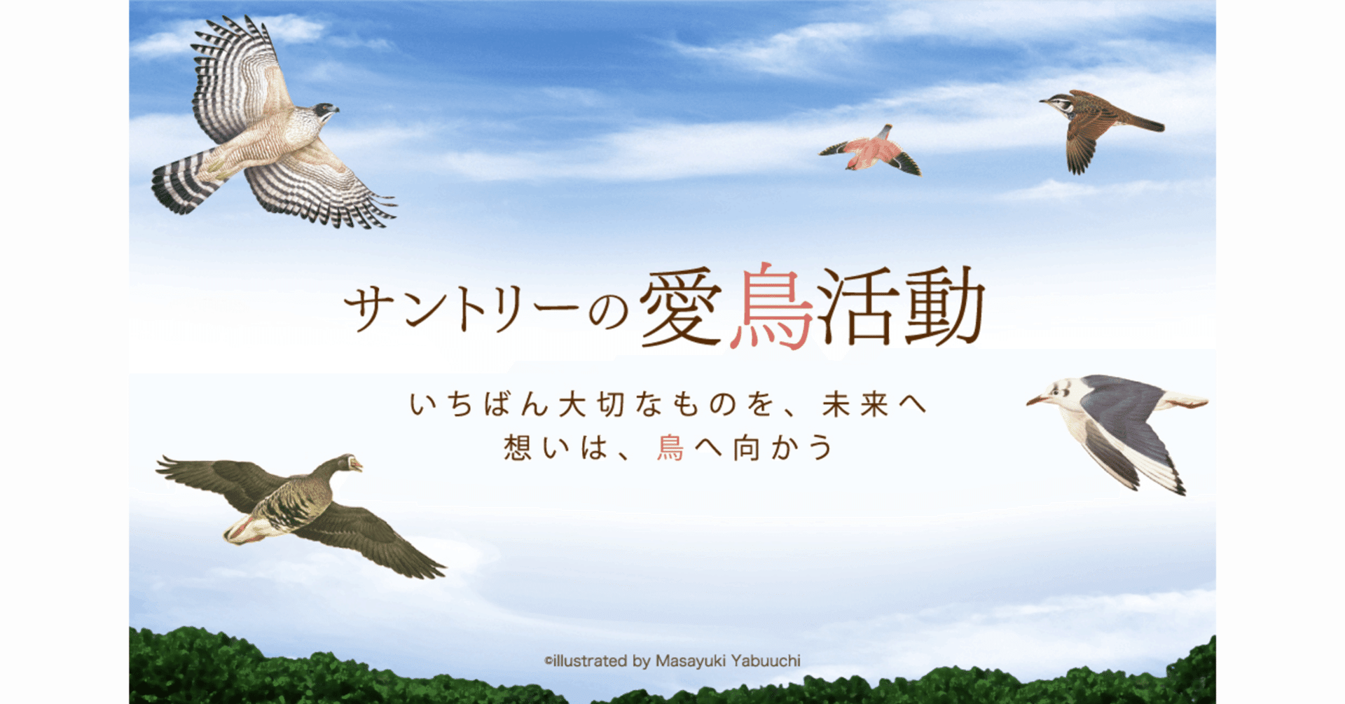サントリーがなぜ愛鳥活動を？！｜SUNTORY（サントリー）