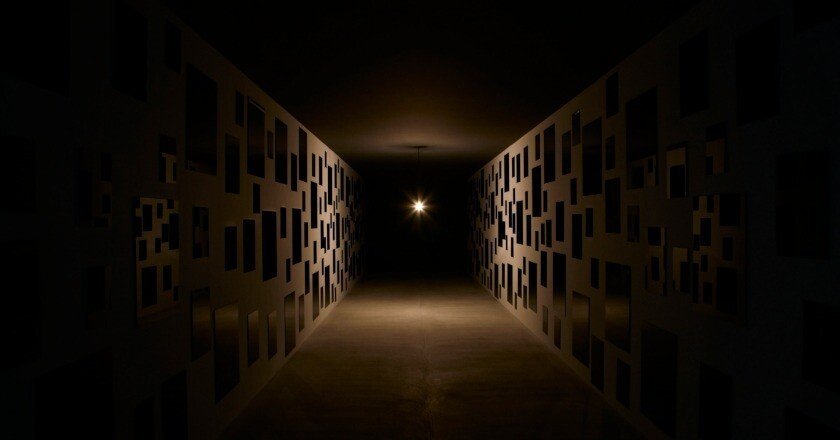 心臓音のアーカイブ：世界中の人の心臓音を聴くことができる「図書館