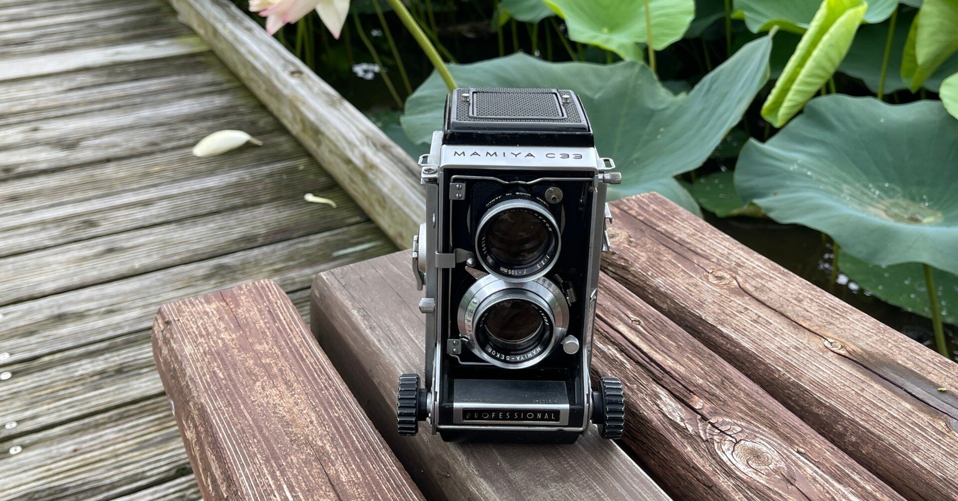 二眼レフの魅力を語りたい｜怪力熊男