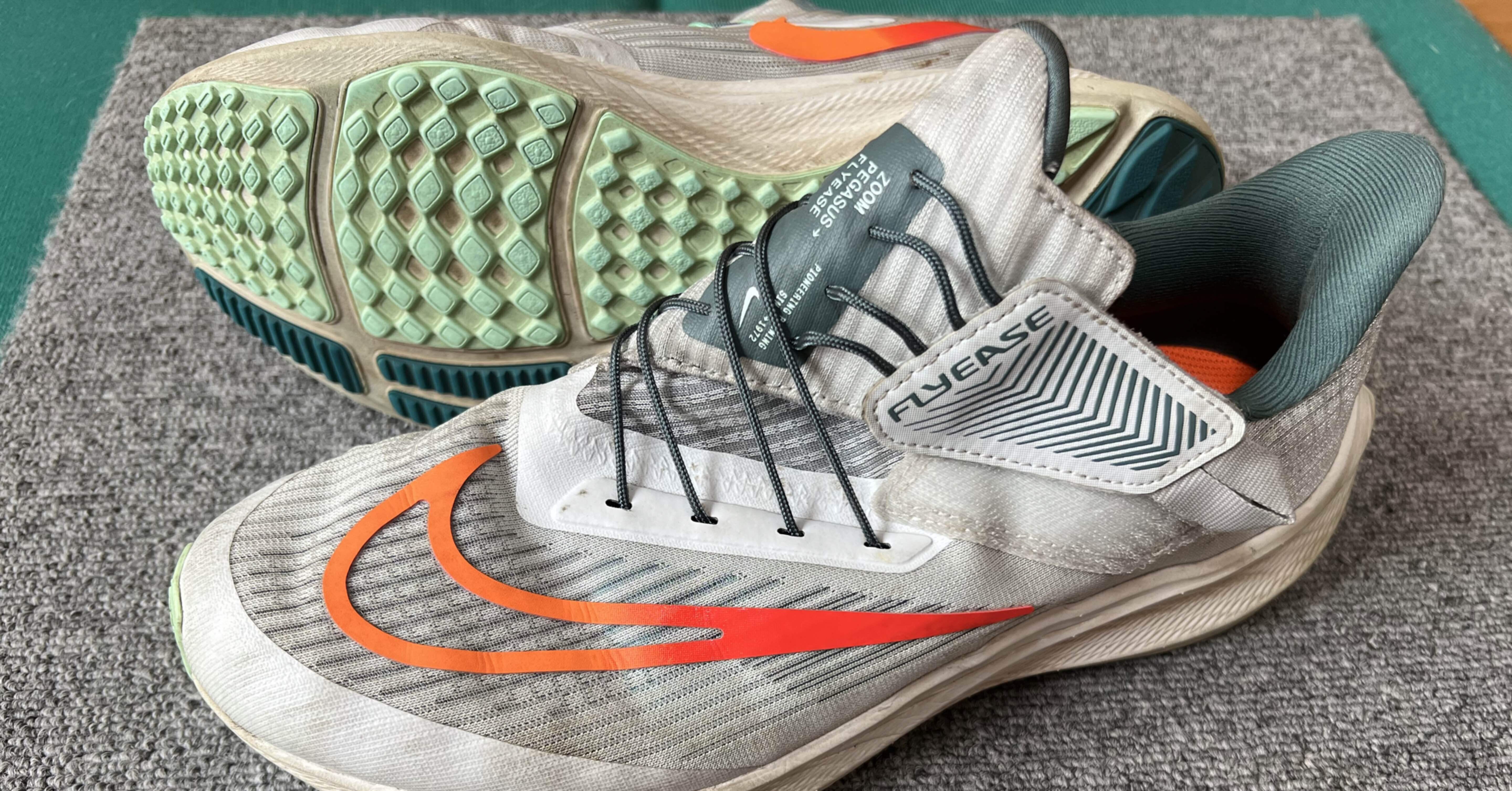 ズームペガサス39 フライイーズ｜seiya