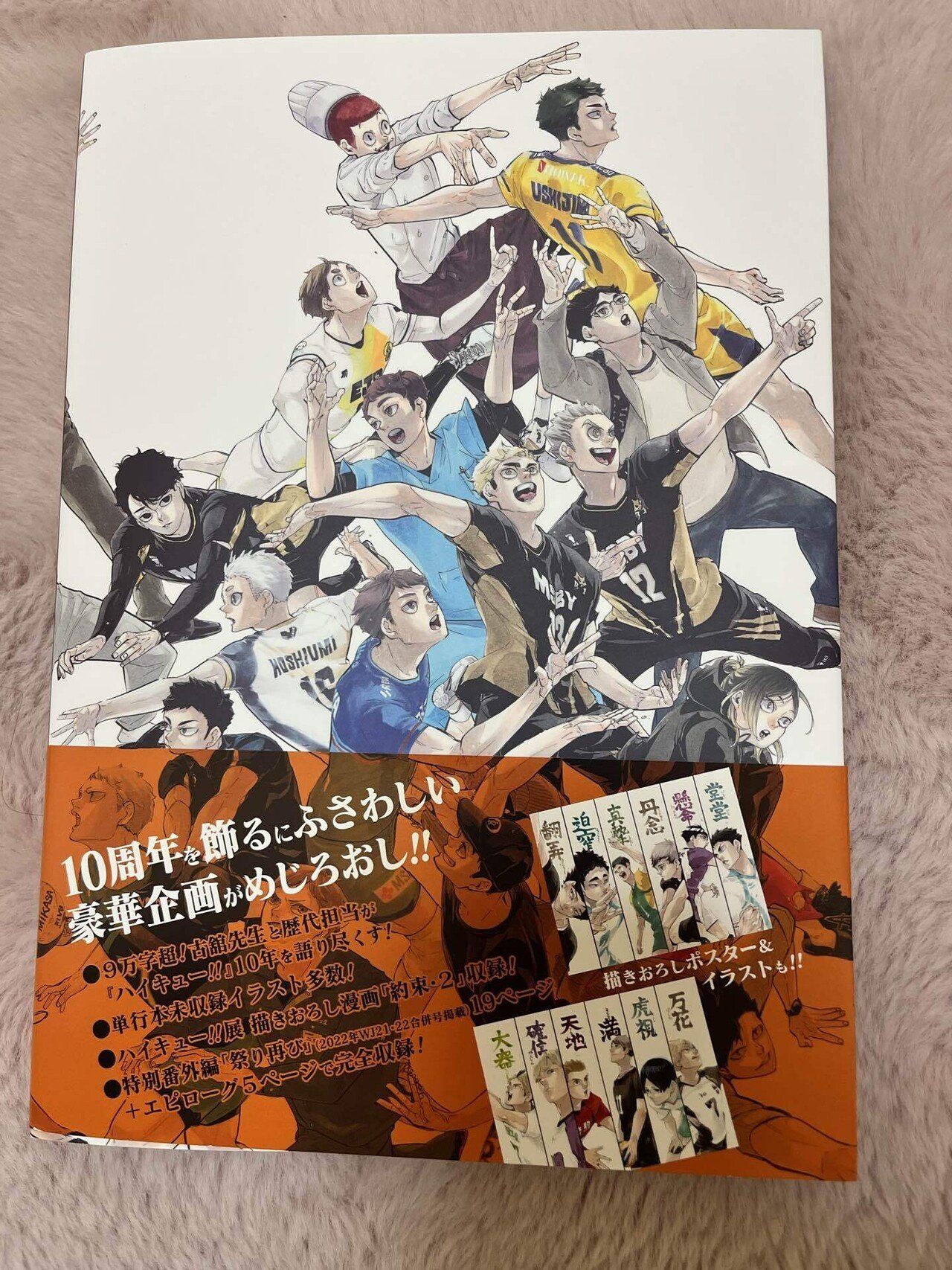 購入品感想01】ハイキュー！！10th クロニクル 最高の一冊｜vast_lion684