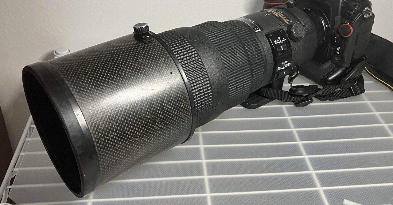 レンズレビュー】Ai AF-S NIKKOR 300mm F2.8D ED｜鷺