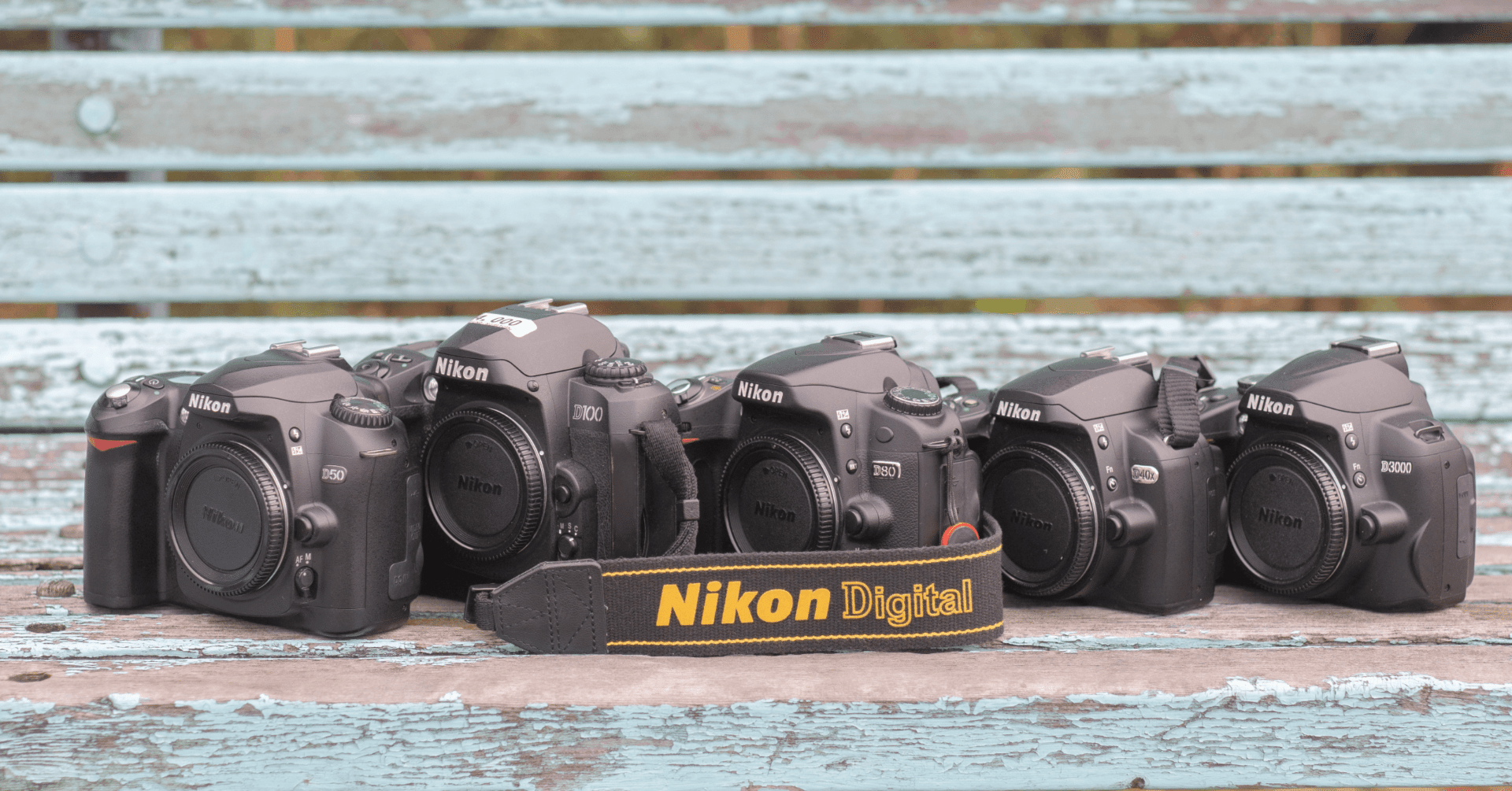 7つのNikonCCD機とD200（仮称）｜すずね
