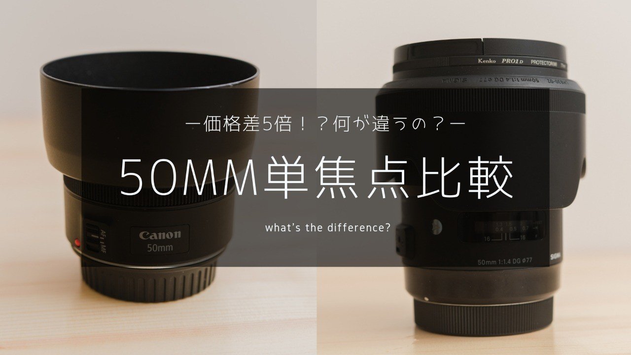 50mm単焦点比較〜価格差5倍の違い〜｜hytjn