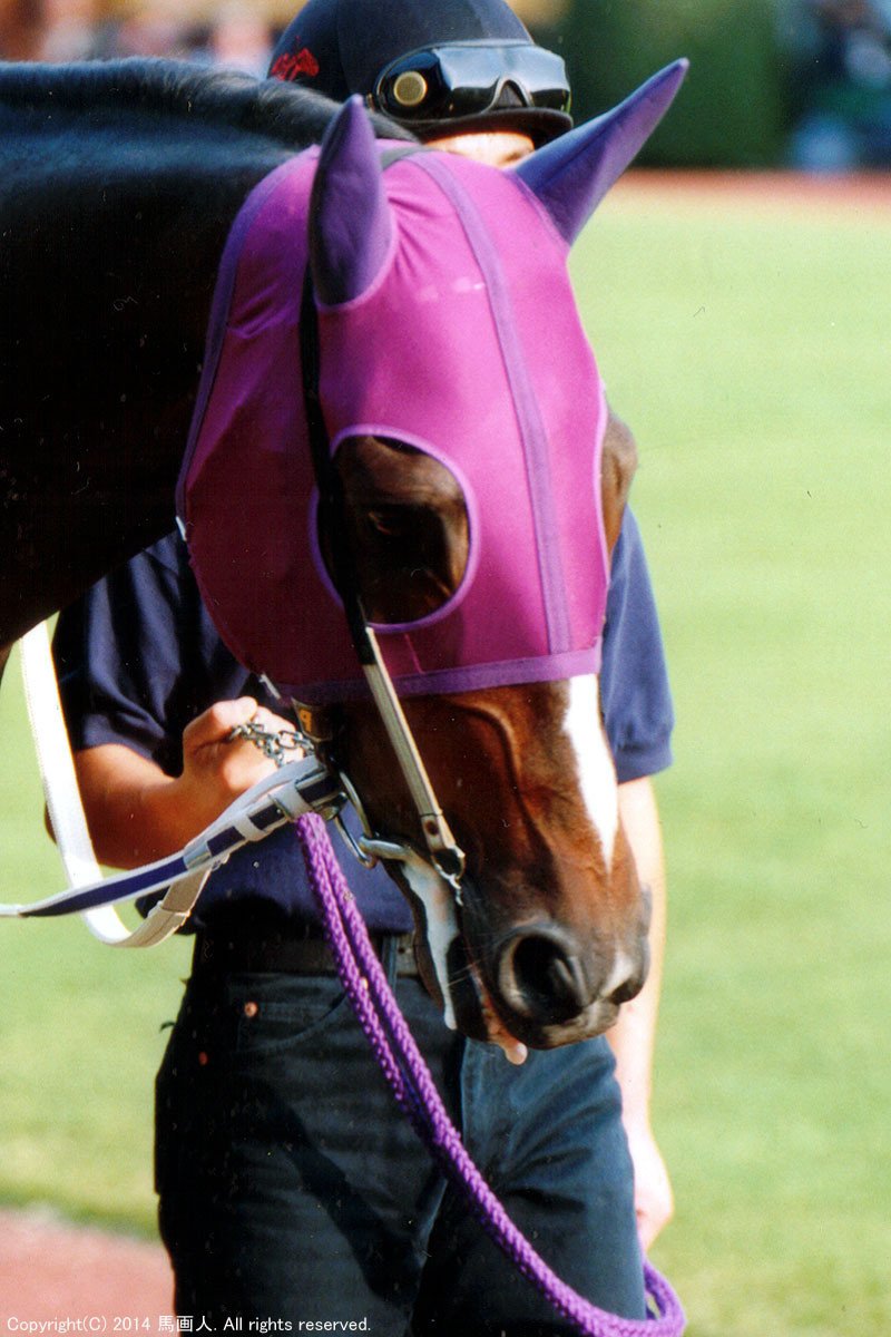 第120回天皇賞(秋)：蔵出し写真 1999年⑨スペシャルウィーク｜馬画人