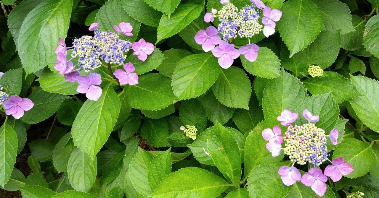 3f7d20956c28be47228457174f06fb