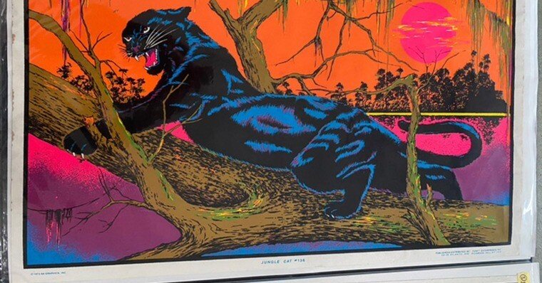 280a6d59a66c86dbf2a3d6c878024f