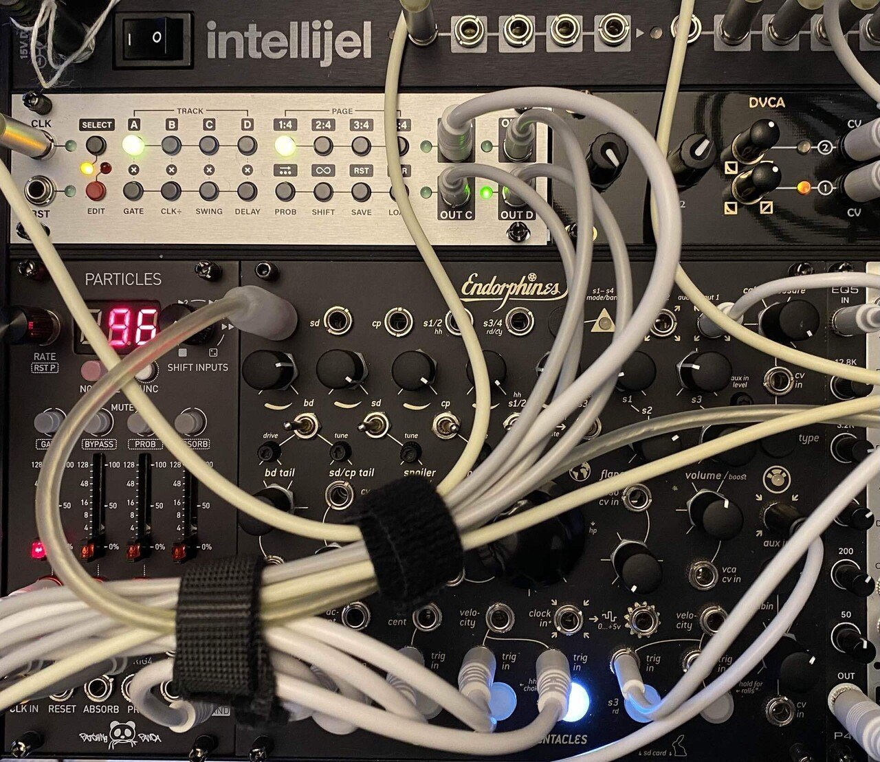 モジュラーシンセ】Intellijel Desings steppy とendorfin.es queen of