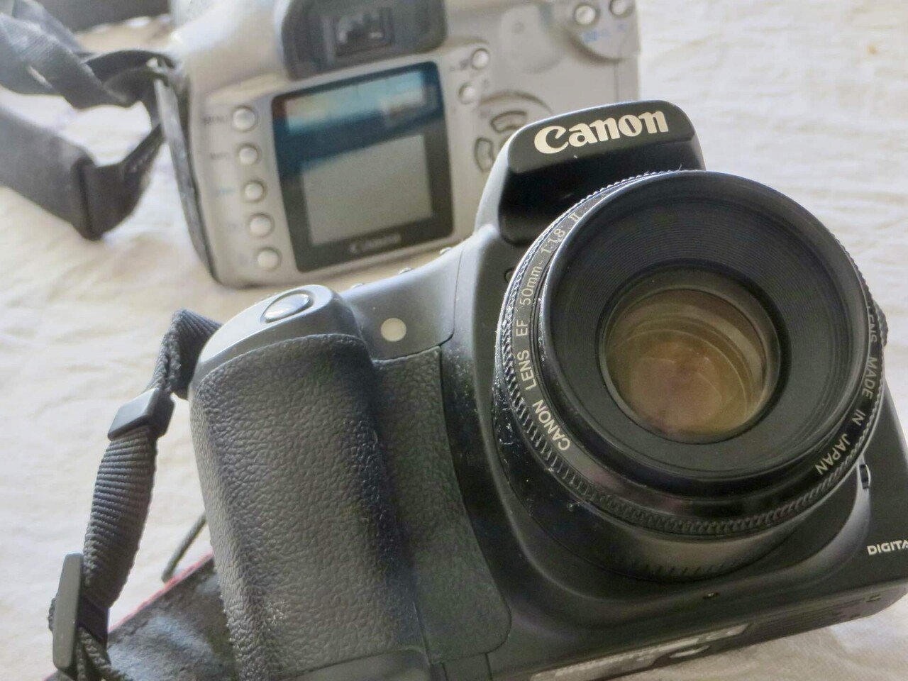 キヤノンの撒き餌〜Canon EOS 20D｜元田中マロ